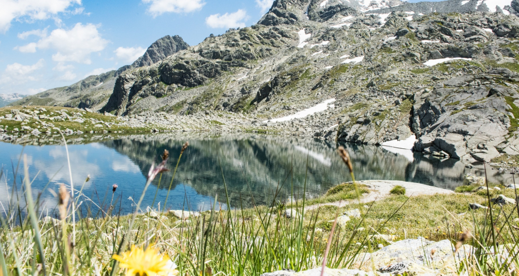 Bergseeli Splügenpass Bergseeli Splügenpass