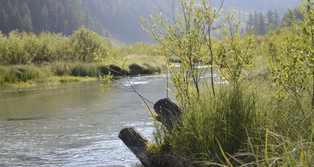 Fischen im Val Müstair (oua_38317741_image)