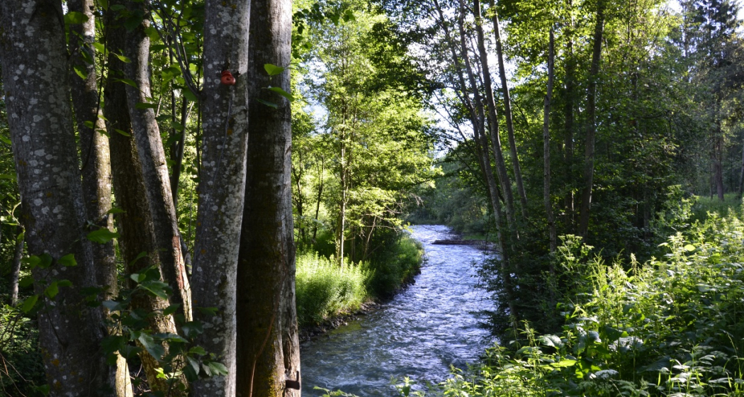 Fischen im Val Müstair (oua_38317742_image)