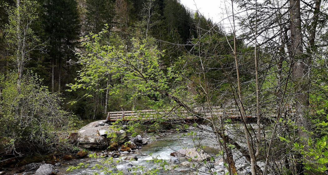 Viadukt-Route (E-MTB tauglich) (oua_38894888_image) Viadukt-Route (E-MTB tauglich) (oua_38894888_image)