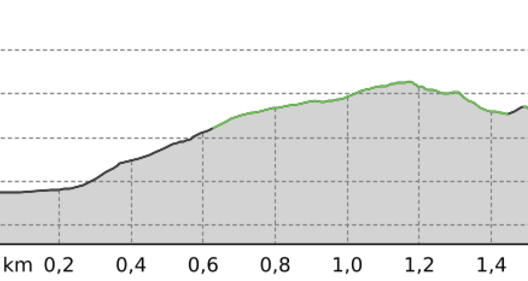 GWunderwald - Teilpfad 1 - Wildboden (oua_38991497_162891c_profile)