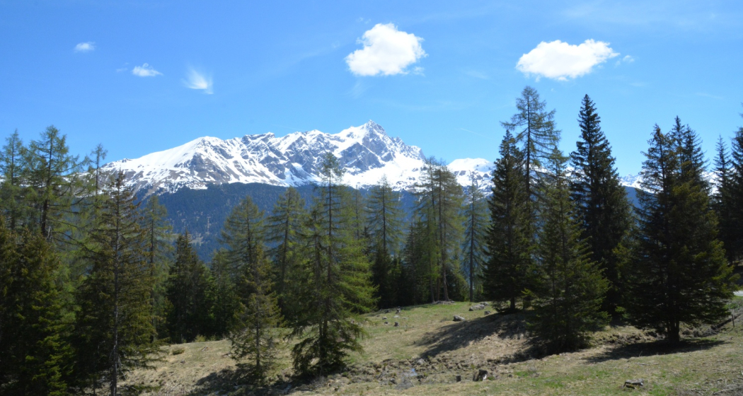 Tigignas - Salaschigns - Savognin (oua_39074657_image) Tigignas - Salaschigns - Savognin (oua_39074657_image)