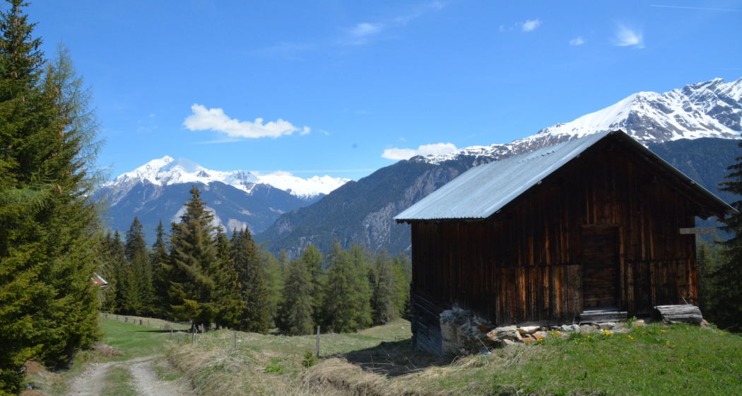 Tigignas - Salaschigns - Savognin (oua_39074677_image) Tigignas - Salaschigns - Savognin (oua_39074677_image)