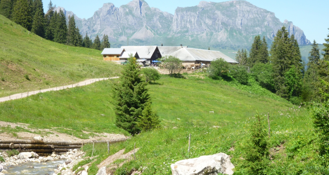 Alp Kohlschlag vor Bergkulisse Alp Kohlschlag vor Bergkulisse