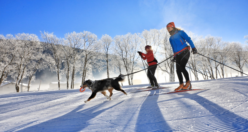 D'Höf (Hundeloipe) (oua_40631439_image) D'Höf (Hundeloipe) (oua_40631439_image)