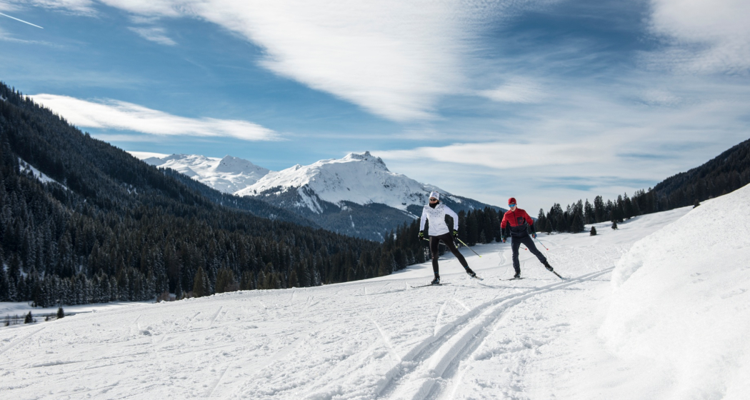 Garfiuner Roller Coaster (oua_40631516_image)
