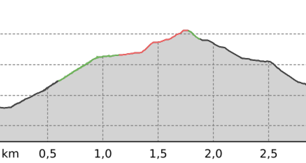 Celerina - Cristolais - Samedan (oua_41043704_3cebe1a_profile) Celerina - Cristolais - Samedan (oua_41043704_3cebe1a_profile)