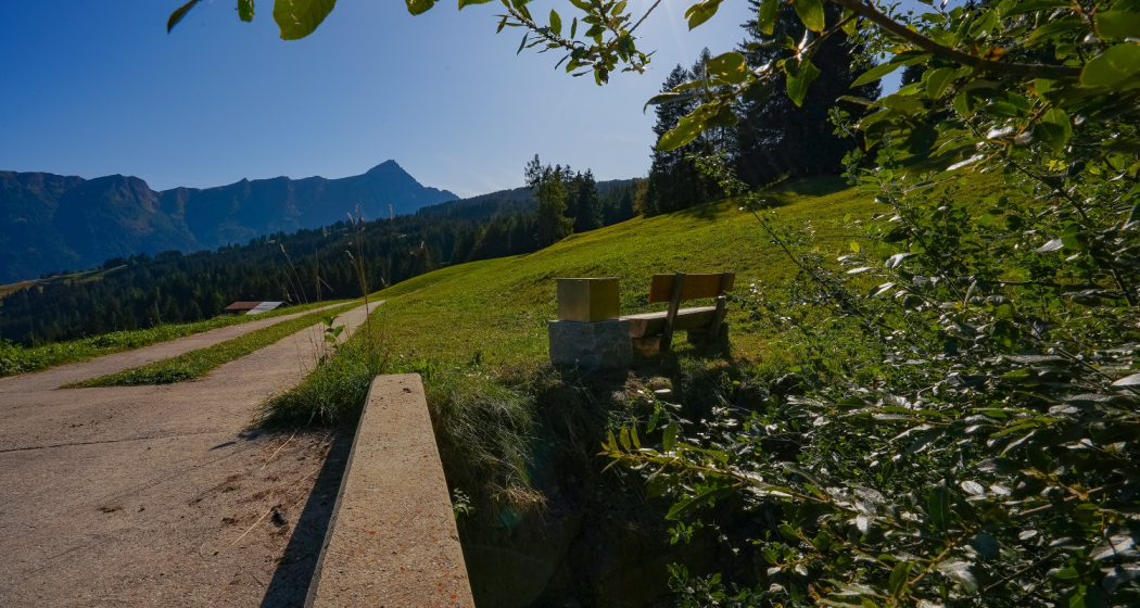 Lesebänkli mit Piz Beverin