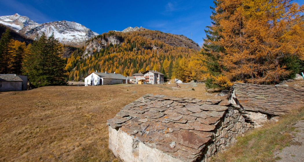 Cavaglia Cavaglia
