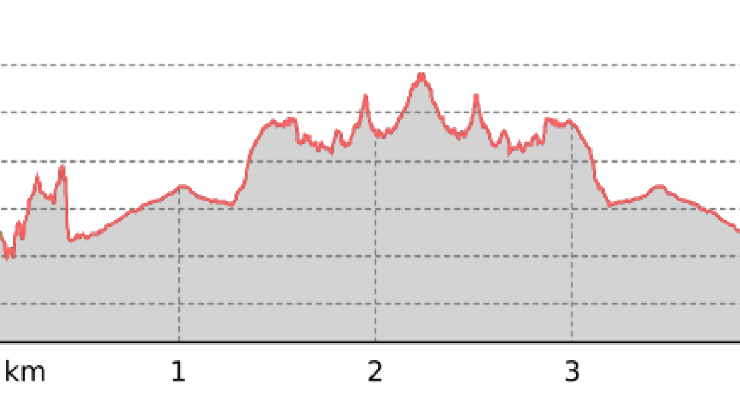 Tektoni - Unterwegs im unteren Segnesboden (oua_42648517_86a02e6_profile)