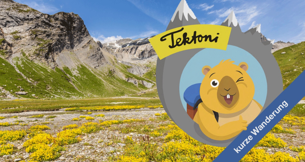 Tektoni - Unterwegs im unteren Segnesboden