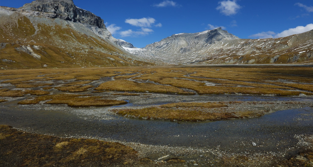 Tektoni - Unterwegs im unteren Segnesboden