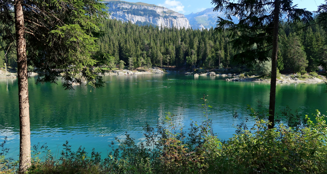 Caumasee. Caumasee.