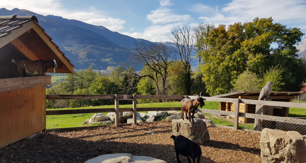 Heididorf, Maienfeld Heididorf, Maienfeld