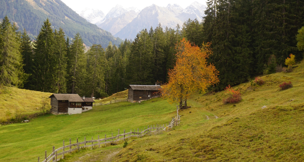 Herbst in der Grossrüti Herbst in der Grossrüti