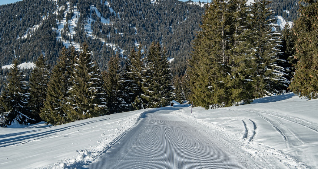 Schlittelpiste Curnius-Falera (oua_43206181_image) Schlittelpiste Curnius-Falera (oua_43206181_image)