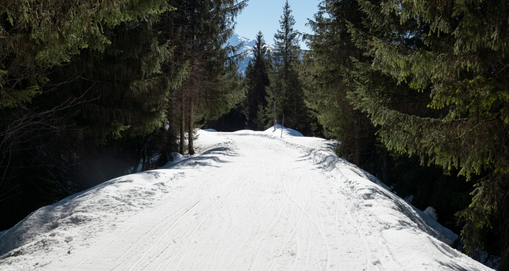 Schlittelpiste Foppa-Flims (oua_43225741_image) Schlittelpiste Foppa-Flims (oua_43225741_image)