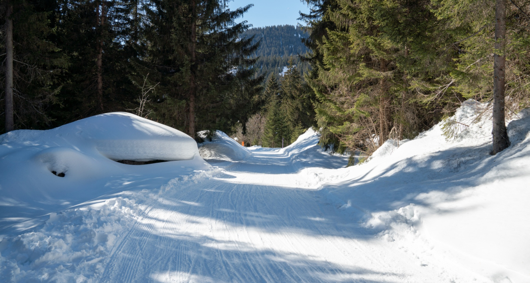 Schlittelpiste Foppa-Flims (oua_43225745_image) Schlittelpiste Foppa-Flims (oua_43225745_image)