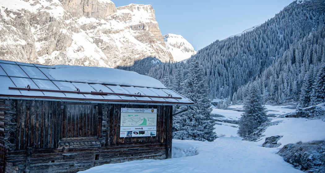 Langlaufloipe im Hochtal Bargis (oua_43248930_image)