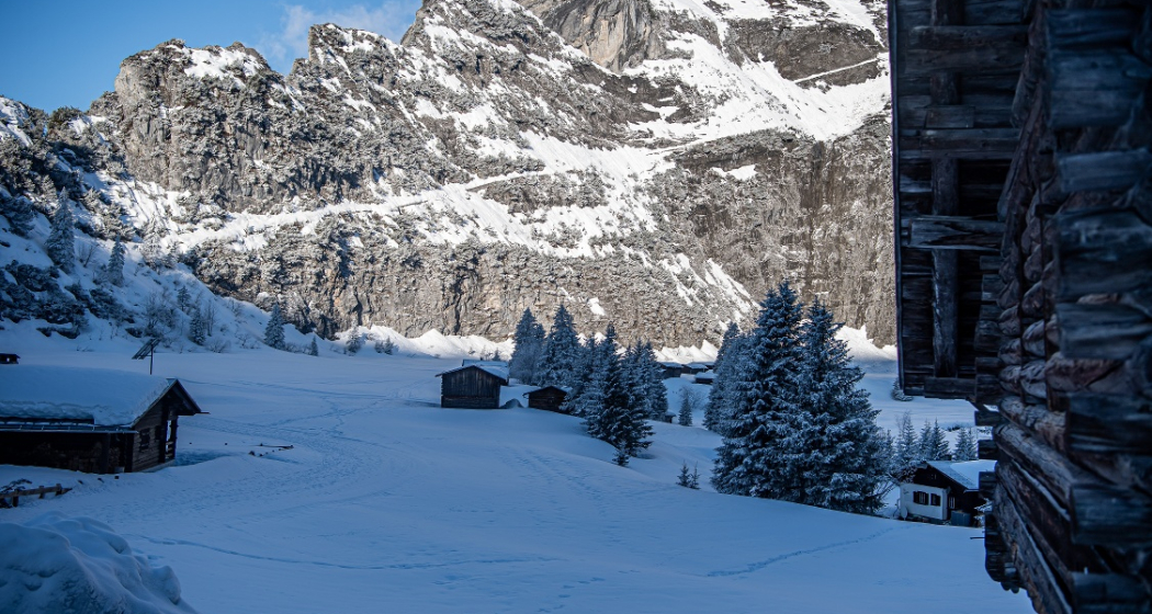 Langlaufloipe im Hochtal Bargis (oua_43248932_image)