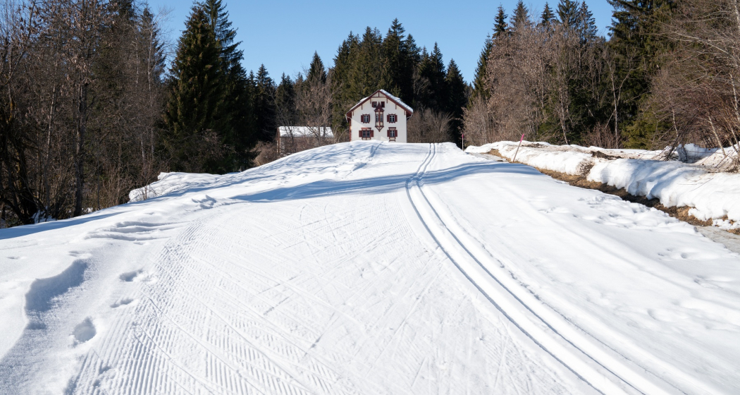 Langlaufloipe Trin Crestasee (oua_43249345_image) Langlaufloipe Trin Crestasee (oua_43249345_image)