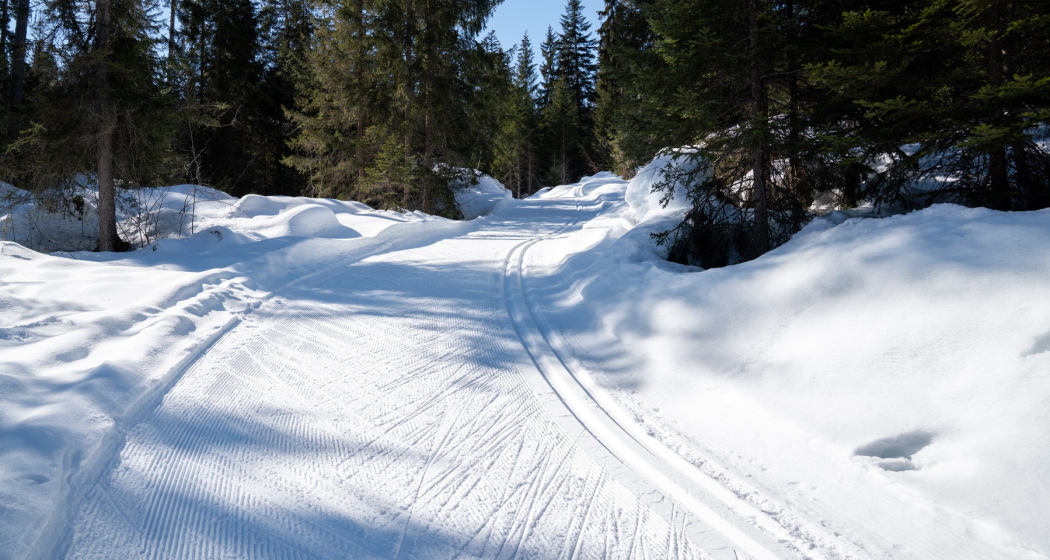 Langlaufloipe Trin Crestasee (oua_43249355_image) Langlaufloipe Trin Crestasee (oua_43249355_image)