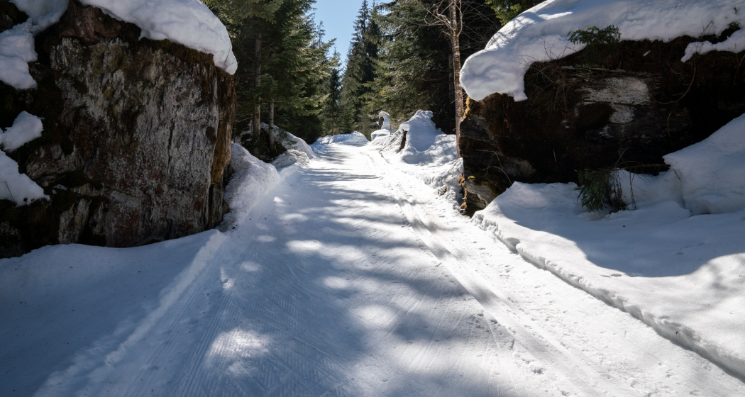 Langlaufloipe Trin Crestasee (oua_43249366_image) Langlaufloipe Trin Crestasee (oua_43249366_image)