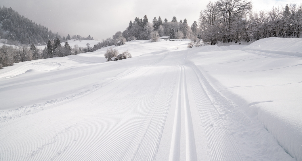 Langlaufloipe Flims Rens (oua_43249589_image)