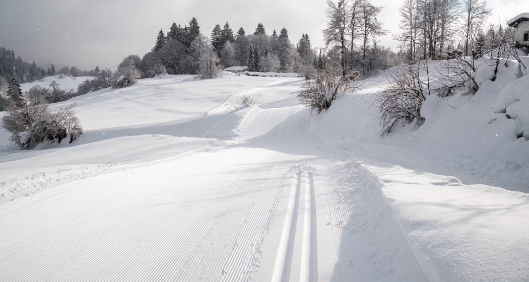 Langlaufloipe Flims Rens (oua_43249590_image)