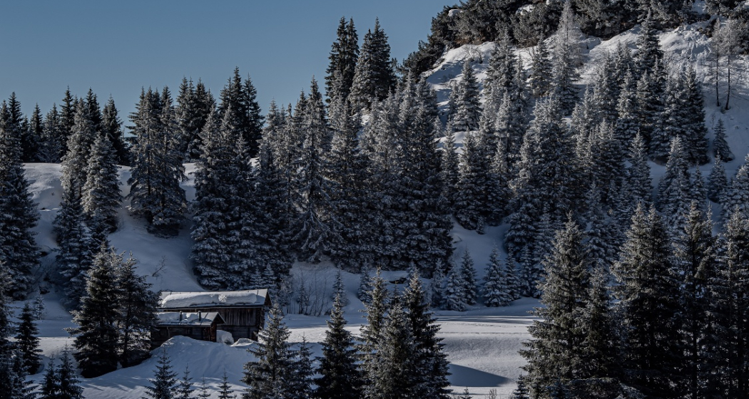 271: Bargis Rundwanderweg (oua_43250246_image)