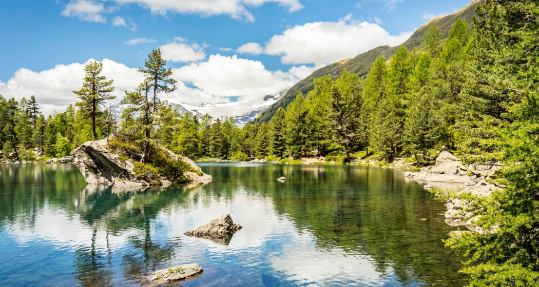 Val da Camp Val da Camp