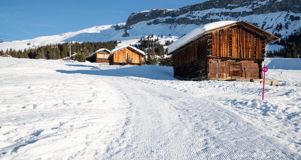 Foppa - Startgels (oua_43335660_image)