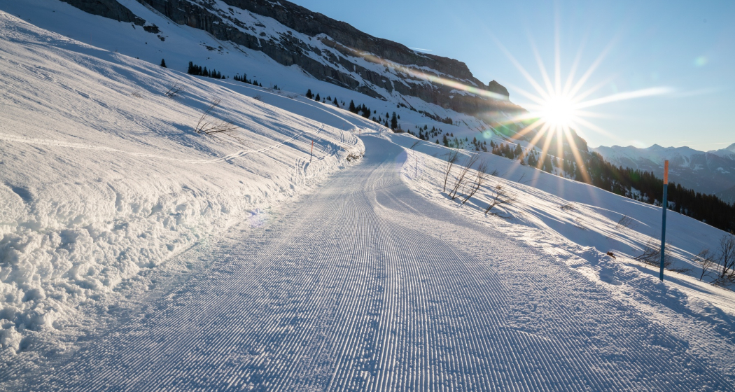 Foppa - Startgels (oua_43335691_image)