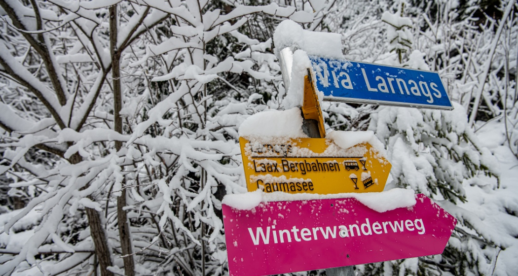 19 Laax Dorf - Laax Talstation (oua_43396578_image) 19 Laax Dorf - Laax Talstation (oua_43396578_image)