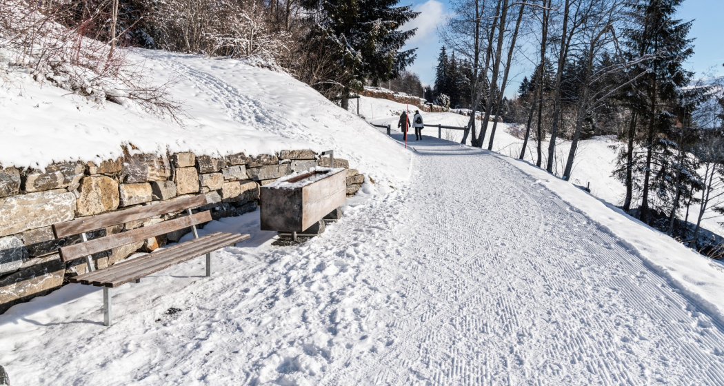 Flims Waldhaus - Sportzentrum - Staderas - Talstation Laax (oua_43397526_image)