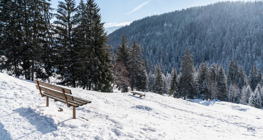 Flims Waldhaus - Sportzentrum - Staderas - Talstation Laax (oua_43397528_image)