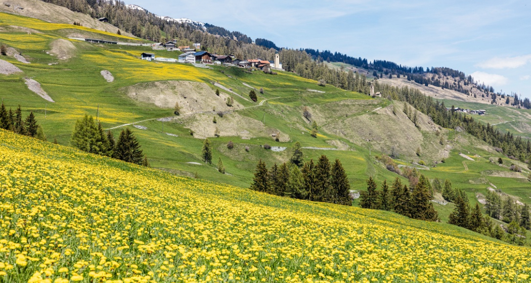 Mathon im Frühling Mathon im Frühling