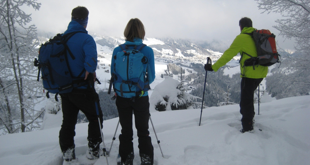 Ausblick auf Disentis