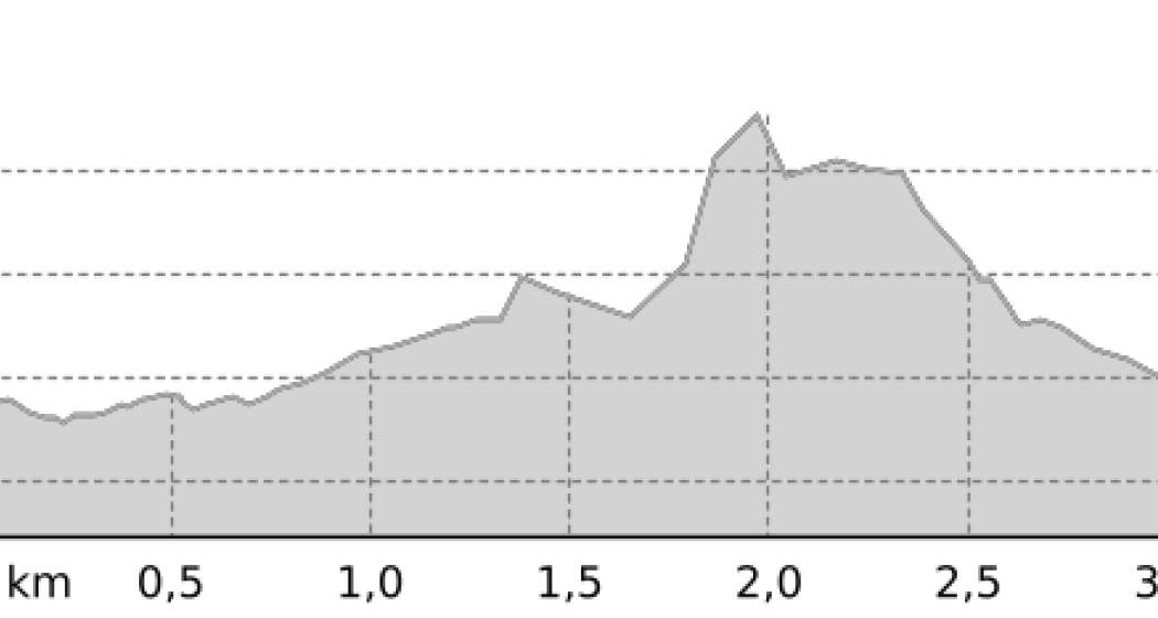 Nachtloipe Zernez (oua_43632743_f9bbe6c_profile)