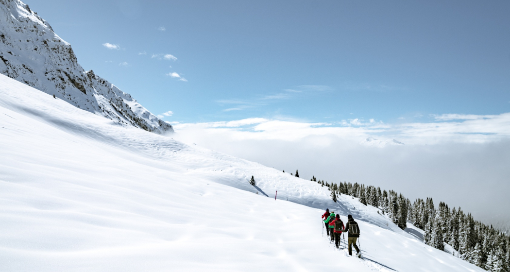 Schneeschuh in Lenzerheide Schneeschuh in Lenzerheide
