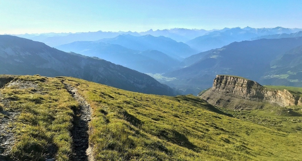 Viva La Cassons (oua_43664936_image) Viva La Cassons (oua_43664936_image)