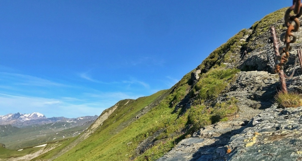 Viva La Cassons (oua_43664937_image) Viva La Cassons (oua_43664937_image)