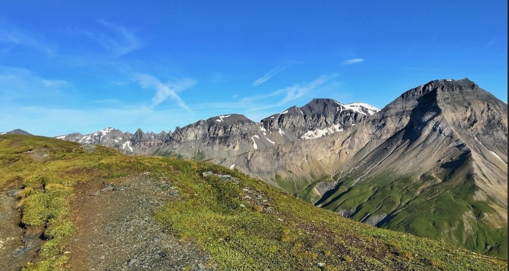 Viva La Cassons (oua_43664938_image) Viva La Cassons (oua_43664938_image)