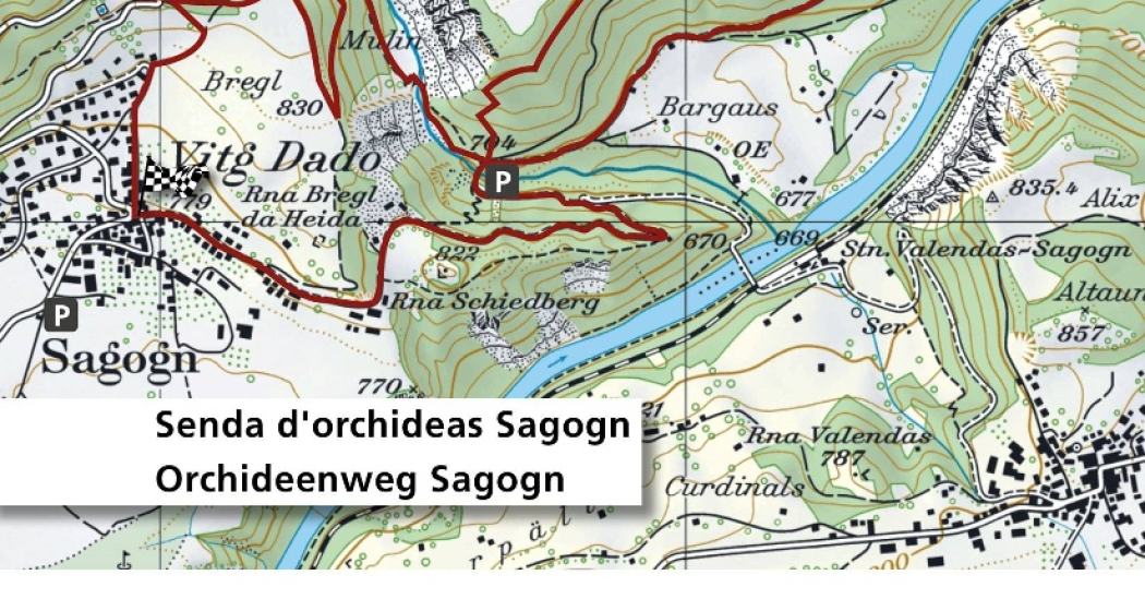 Orchideenweg - Senda d’orchideas (oua_43758130_image)