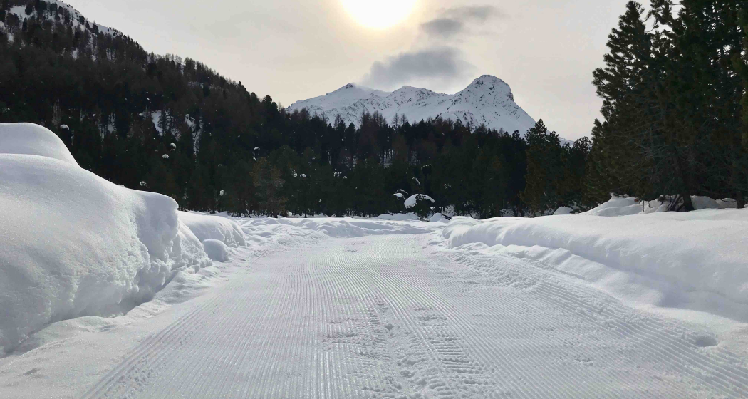 Maloja Palza Rundweg Maloja Palza Rundweg