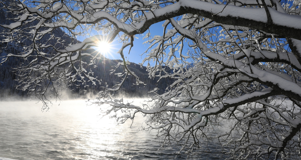 Rundwanderung um den Davoser See (oua_44153824_image)