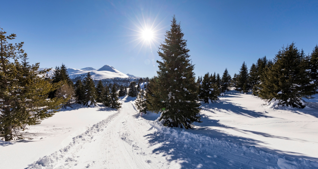 Winterwanderweg Muttner Höhe Winterwanderweg Muttner Höhe
