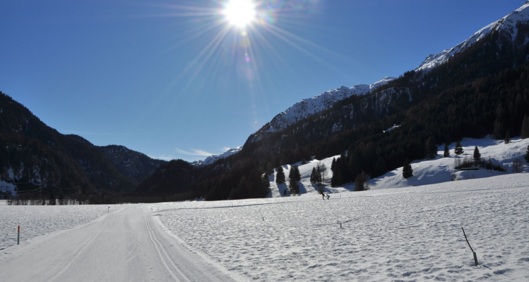 Hundeloipe Rona (oua_44268237_image) Hundeloipe Rona (oua_44268237_image)