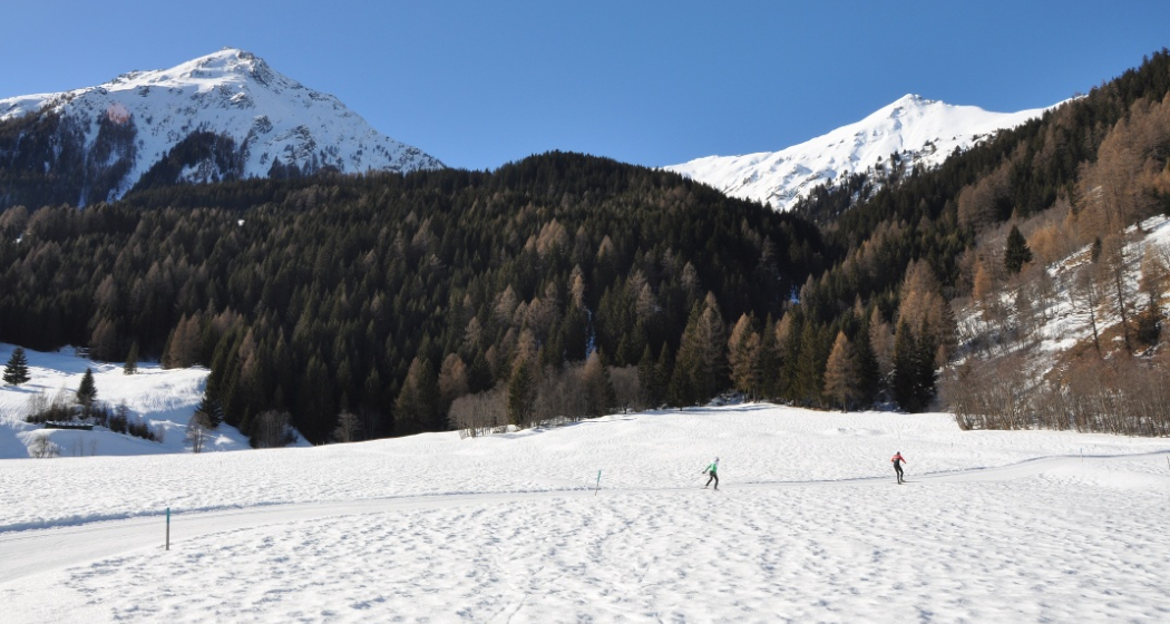 Hundeloipe Rona (oua_44268244_image) Hundeloipe Rona (oua_44268244_image)