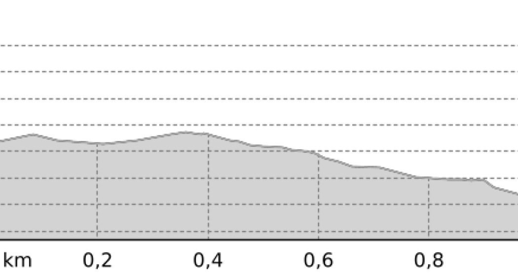 Roll the dice (oua_44901103_cfef5af_profile)
